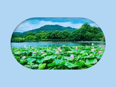 -西湖游船