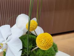 -蓉小乔·RONG COFFEE(春熙路店)