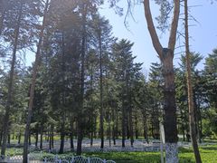 -黑龙江省森林植物园