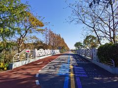 -上海长兴岛郊野公园