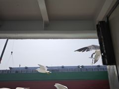 -海驴岛(荣成市)