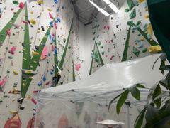 -绿壁虎攀岩基地(Tcar店)