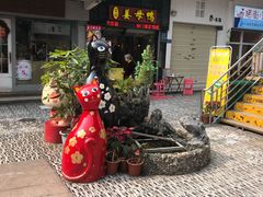 -猫咪博物馆(顶澳仔猫街店)