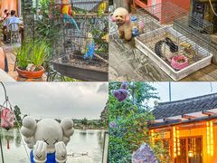 -水岸居湖景农家乐·阳澄湖大闸蟹