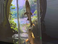 -中国湿地博物馆
