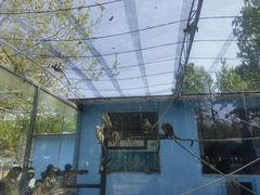 -秦皇岛野生动物园