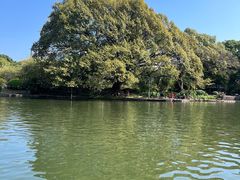 -晓港公园