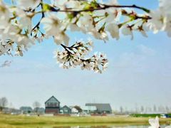 -碧桂园凤凰城酒店(南京店)