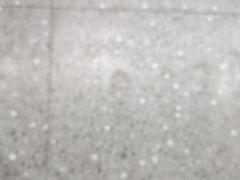 -亚马逊海鲜自助(梅溪湖步步高店)