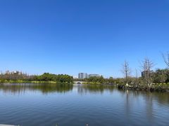 -成都南湖公园