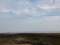 -南汇嘴观海公园