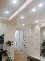 -YESIDO椰岛造型
