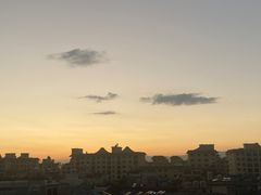 -泰国猪脚饭(三棵树民族风情街店)