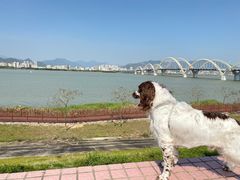 -潮州古城