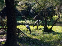 -上海野生动物园