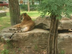 -秦皇岛野生动物园
