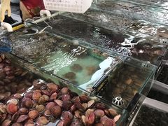 -南戴河海滨市场