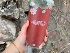 -鸡鸣赐茶(鸡鸣寺路店)