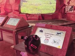 -珠海横琴国家地理探险家中心(创新方)