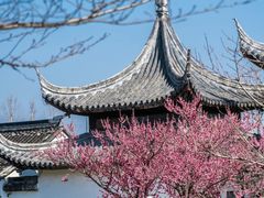 -苏州上方山国家森林公园
