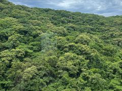 -三亚太阳湾柏悦酒店