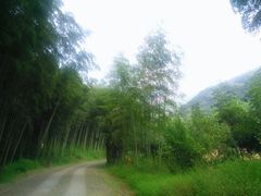 -黄公望隐居地