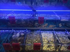 -金海湾海鲜排档(朱家尖店)