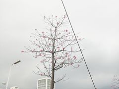 -福州大学(旗山校区)