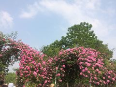 -尚贤河湿地