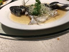 -龙悦湾酒家·八阵鱼生·渔人码头店