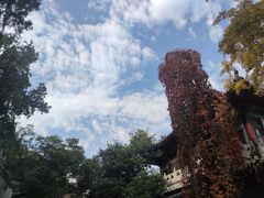 -千佛山风景名胜区