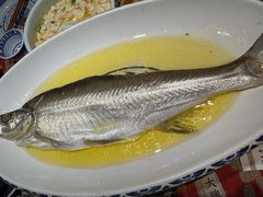 鸡汁蒸白鱼-南京大牌档(崇文门国瑞店)