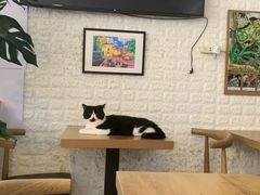 用餐区-平行世界·猫咖(首经贸店)