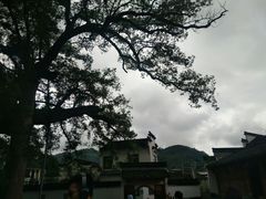 -新安江山水画廊风景区