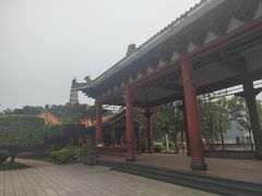 -顺峰山公园