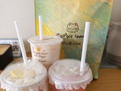 -猫的魔法密林(衣裳街店)