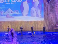 -华夏文旅海洋公园