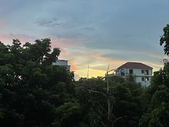 -顺峰山公园