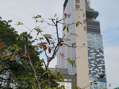 -九龙公园