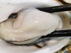 原只木桶蒸大蚝-飞尝蚝·顺德菜·鱼生(顺德总店)