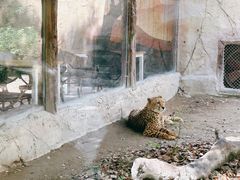 -上海野生动物园