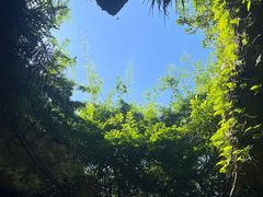 -雁荡山风景名胜区