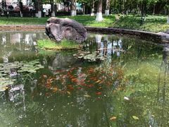 -温江公园
