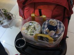 -珍妮曲奇聪明小熊(尖沙咀店)