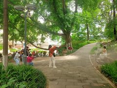 -成都市活水公园