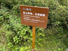 -朱雀国家森林公园