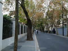 -% Arabica阿拉比卡咖啡(武康路店)