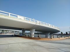 -演武大桥观景平台