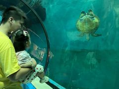 -苏州海洋馆