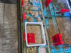 -金海湾海鲜排档(朱家尖店)